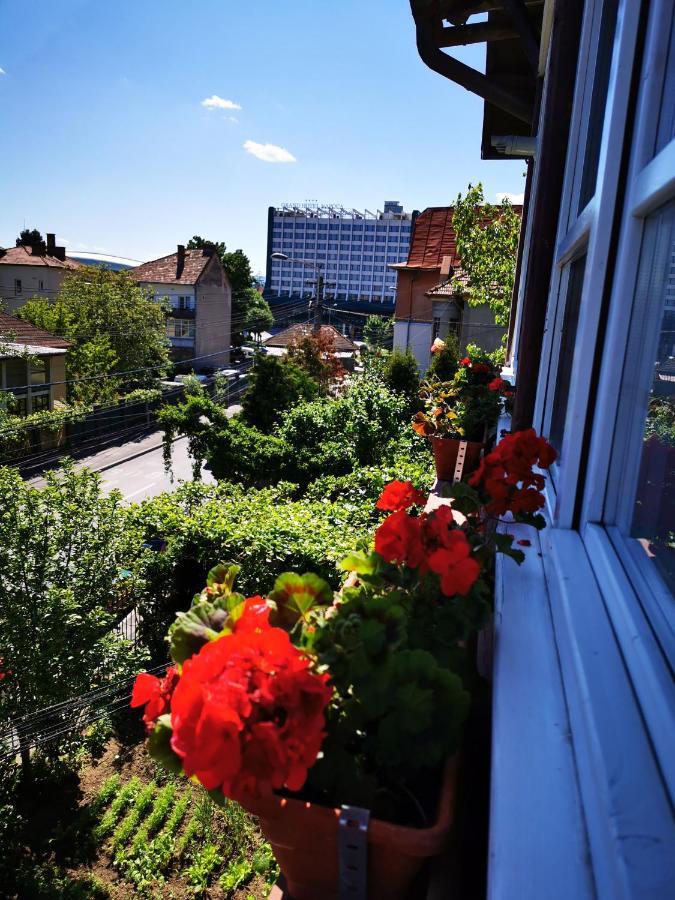 Apartament Hunter Apartment คลูจ-นาโปกา ภายนอก รูปภาพ