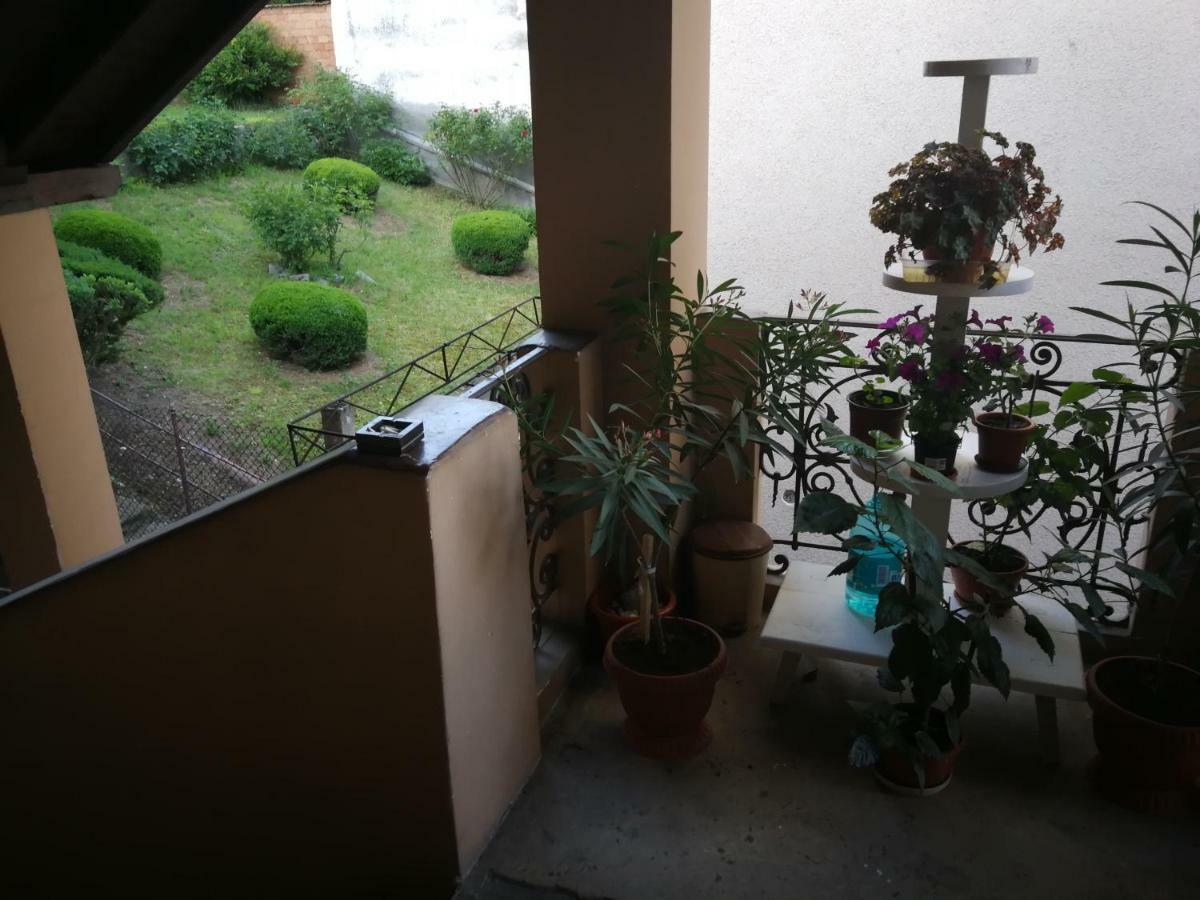 Apartament Hunter Apartment คลูจ-นาโปกา ภายนอก รูปภาพ