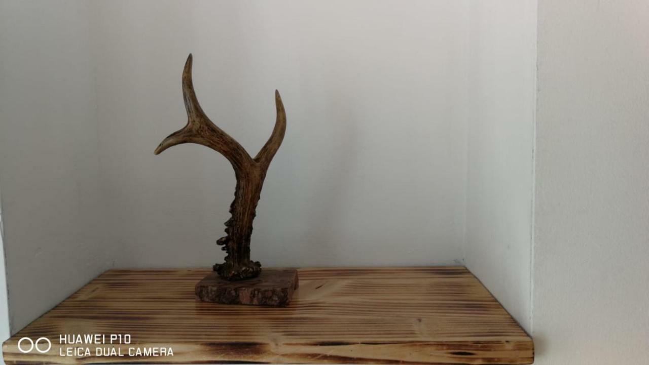 Apartament Hunter Apartment คลูจ-นาโปกา ภายนอก รูปภาพ