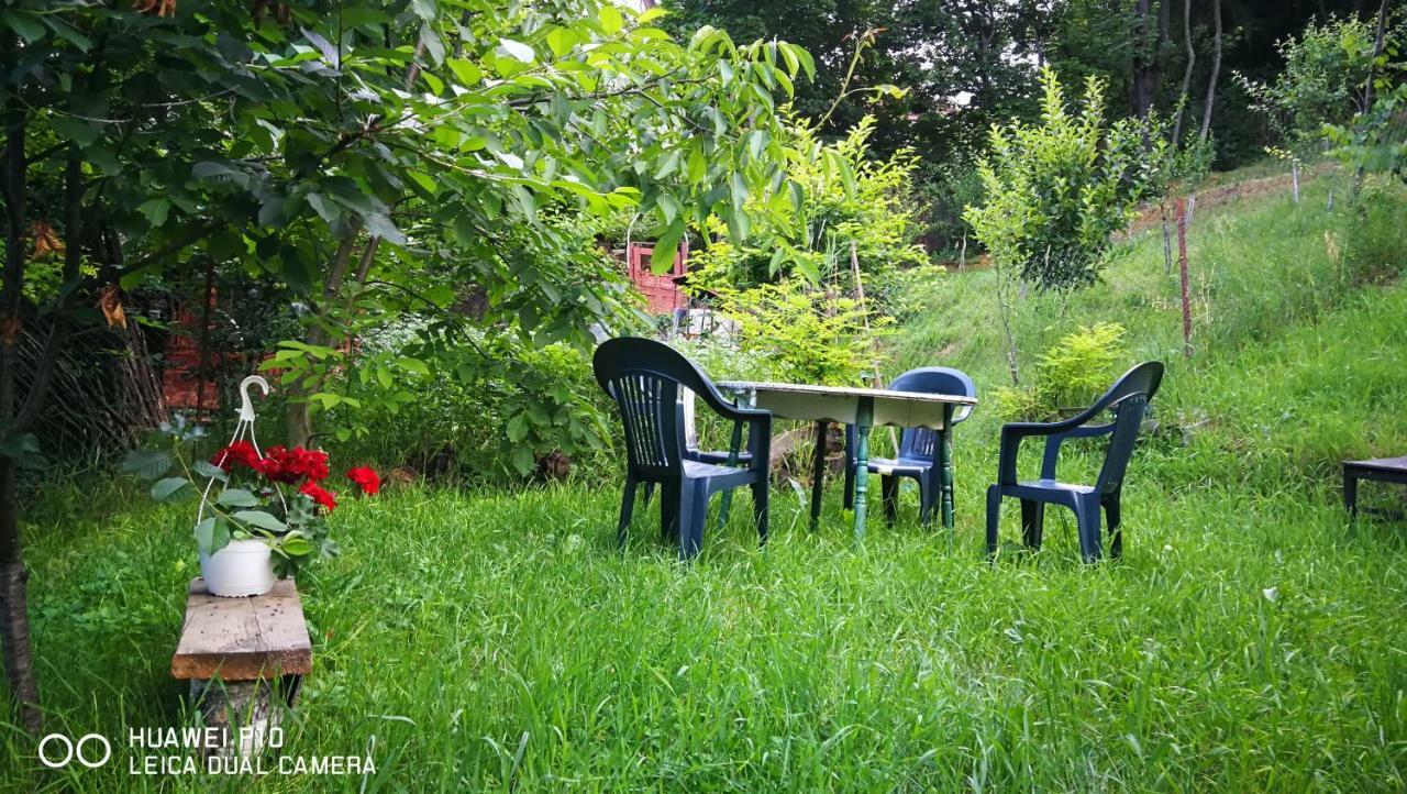 Apartament Hunter Apartment คลูจ-นาโปกา ภายนอก รูปภาพ