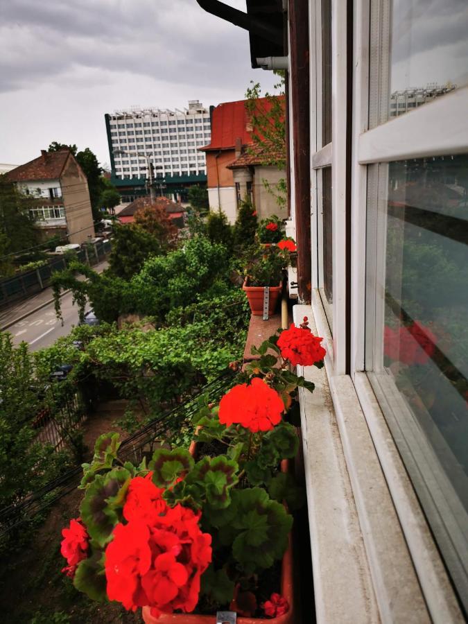 Apartament Hunter Apartment คลูจ-นาโปกา ภายนอก รูปภาพ